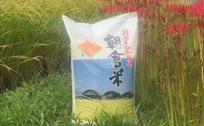 朝倉米　10kg