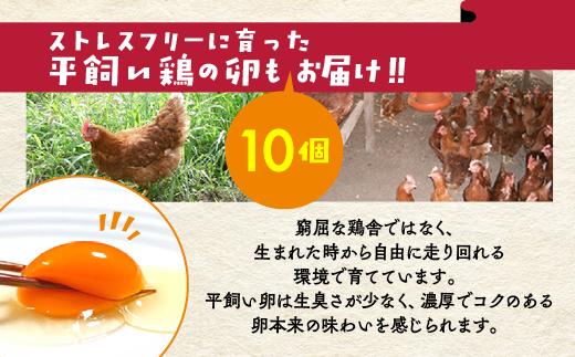 【12回定期便】＜アスカ有機農園＞旬の京野菜セットL（平飼い卵付）＊毎月お届け全12回