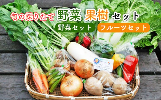 
野菜セット 旬の採りたて 野菜 果樹 セット フルーツセット
