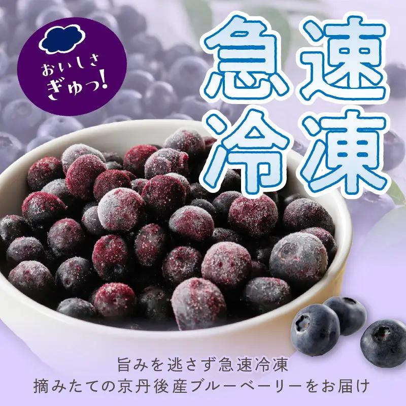 冷凍ブルーベリー 1kg | フルーツ 果物 ベリー