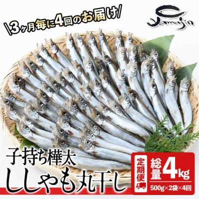 ふるさと納税 佐伯市 【定期便・全4回】3ヵ月に1回お届け!子持ち樺太ししゃも丸干し