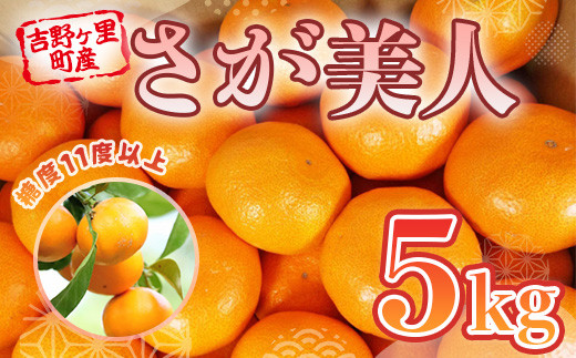 
                  【11月以降順次発送】佐賀県産みかん さが美人 5kg  2S～Lサイズ [FBT021]
                