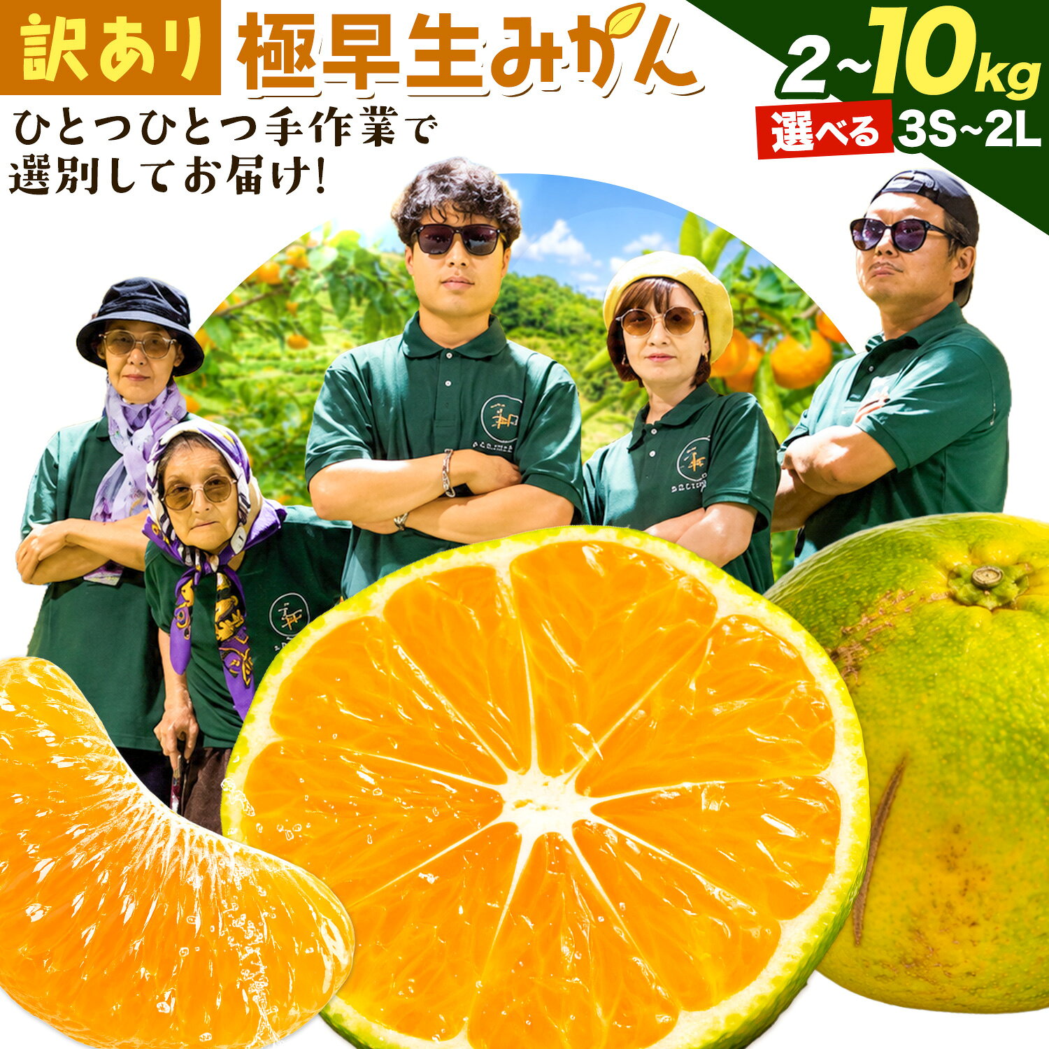 【ふるさと納税】みかん 訳あり 柑橘 極早生 極早生みかん 手選別 選べる 2S-2Lサイズ混合 3S・2Sサイズ混合 2kg 6kg 8kg 10kg 森本農園《10月上旬-11月上旬頃出荷》和歌山県 日高川町 柑橘類 フルーツ わけあり ミカン お取り寄せフルーツ【配送不可地域あり】