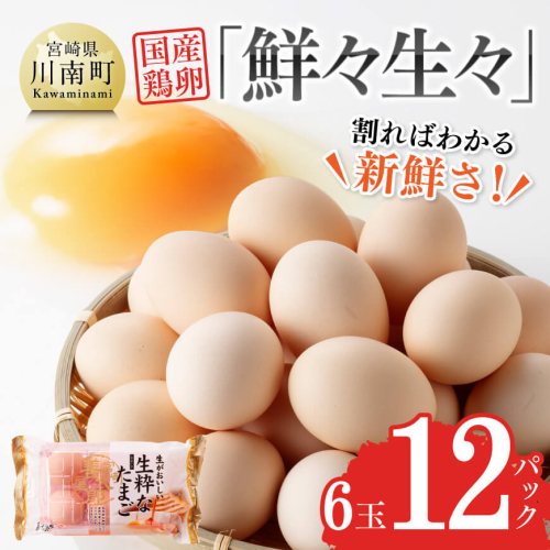 新鮮な生卵 「 鮮々生々セット 」 【 鶏卵 卵 鶏 たまご タマゴ】 宮崎県川南町