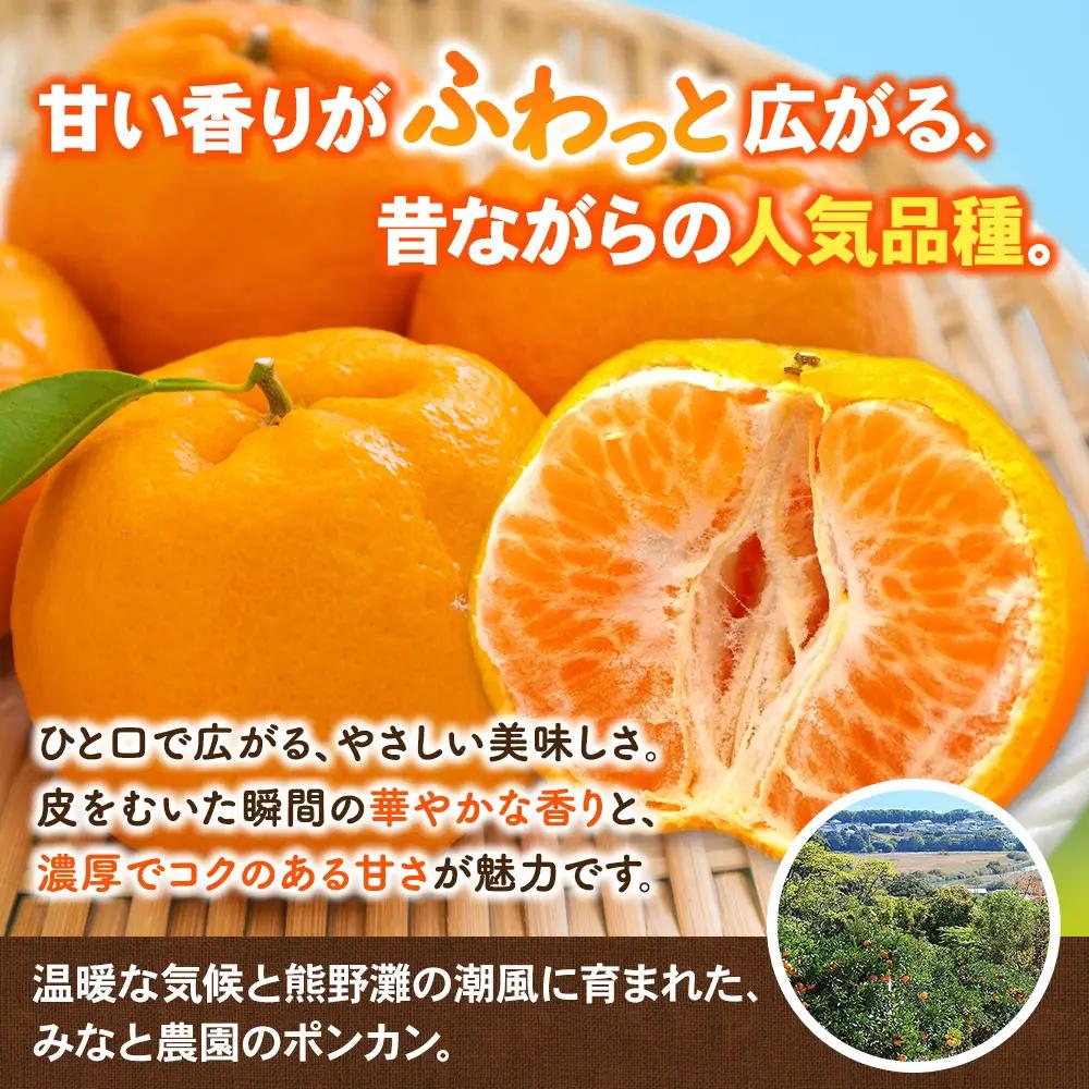 【先行予約】ポンカン みなと農園のポンカン 約10kg 【mntf0012】