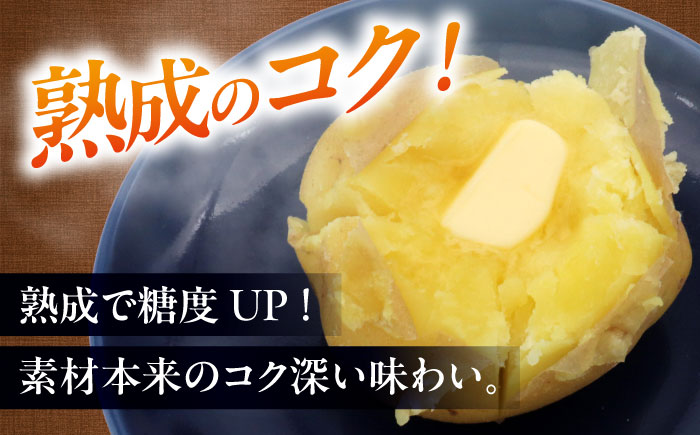 【2026年3月下旬以降順次発送】 雪の下にんじんと越冬じゃがいもセット 計20kg （とうや）|  野菜セット 野菜 セット にんじん じゃがいも  |  道の駅 真狩フラワーセンター [BPAM0