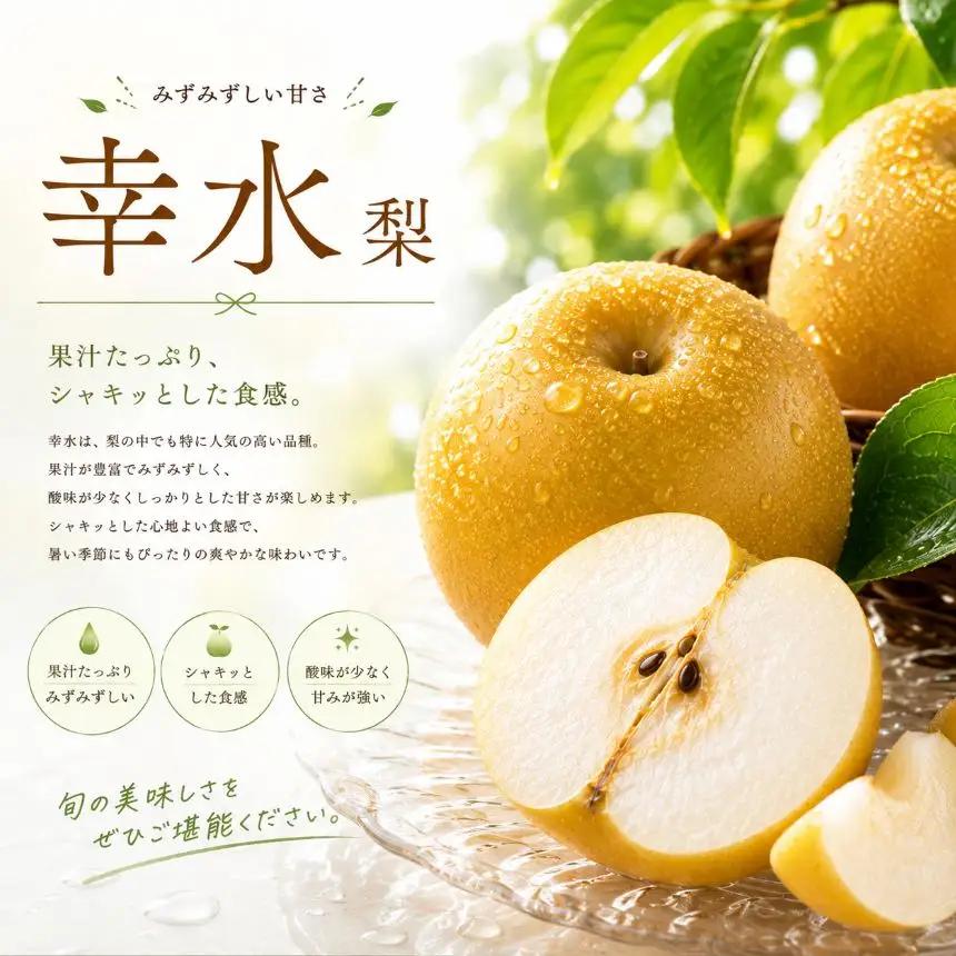【2027年先行予約】梨 幸水 約3kg｜栃木県共通返礼品 栃木県産
