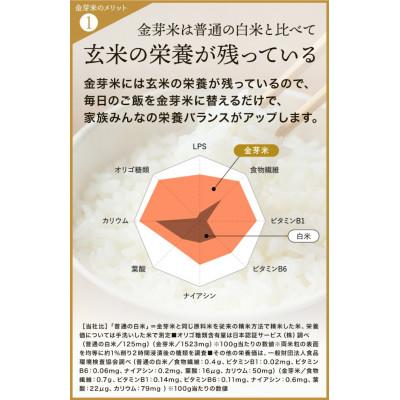 ふるさと納税 美浜町 【 金芽米 】愛知県 美浜町産 にじのきらめき 5kg 無洗米 |  | 01