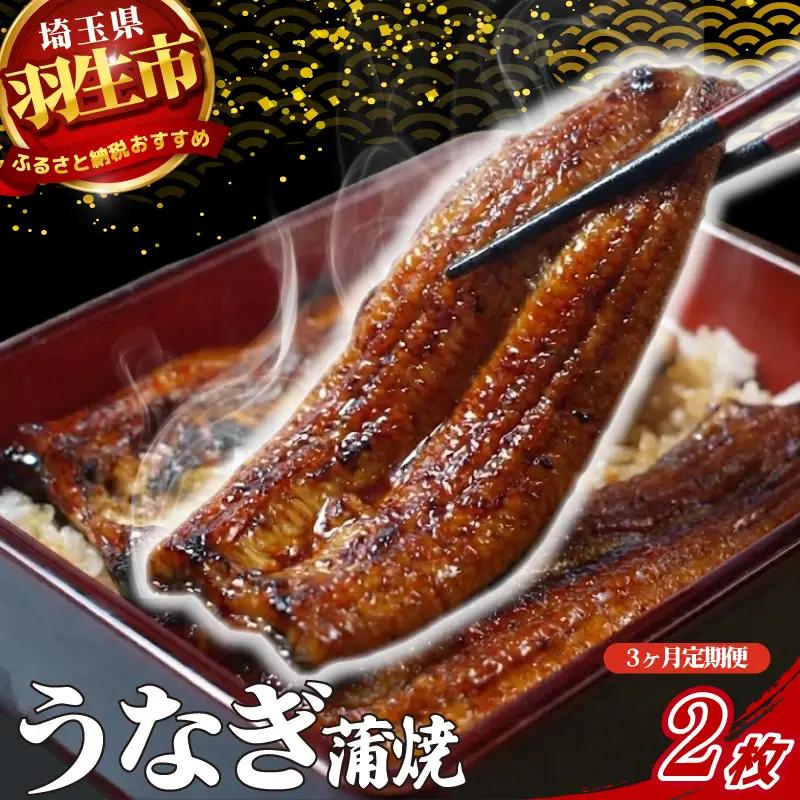 【定期便 3ヶ月】うなぎ 蒲焼 2枚 セット 120g × 3回 山椒付き 冷蔵 創業170年 魚徳