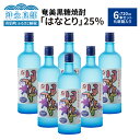 【ふるさと納税】奄美黒糖焼酎 はなとり 25度 720ml × 6本 セット 化粧箱入り ギフト 贈り物 酒 アルコール 黒糖 焼酎 蔵元 家飲み 宅飲み パーティ おすすめ お取り寄せ 送料無料