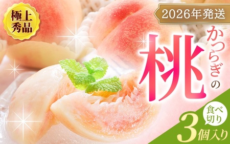 【2026年発送先行予約】桃 極上秀品 食べきりやすい3個入 こだわり農家厳選！【先行予約】【2026年7月末から8月末順次発送】【KG18】【BK021-kgr002】