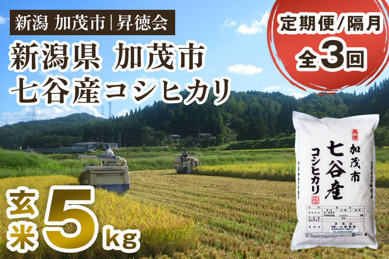 
            【令和6年産新米先行予約】【定期便3回隔月お届け】新潟県加茂市 七谷産コシヒカリ 玄米5kg 高柳地域産数量限定 昇徳会
          