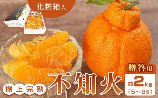 
                  ［贈答用化粧箱入］ 不知火 樹上完熟 約2kg （5～8個入）［2027年2月末頃から3月末頃発送］［KG10］
                