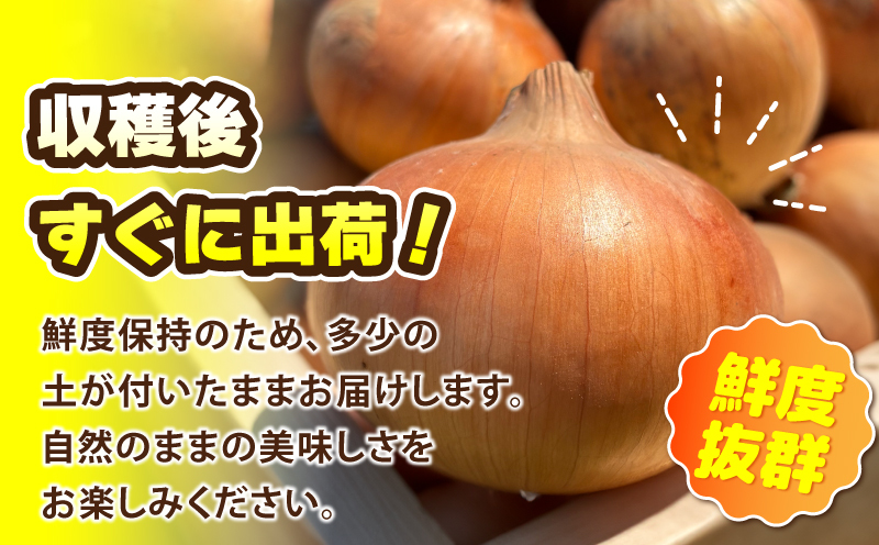 【先行予約】葛葉玉ねぎ 6kg（10～15玉） 010B1773_イメージ3