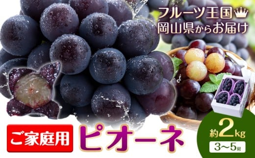 【2026年先行予約】ぶどう ご家庭用 ピオーネ 約2kg 3房~5房 もりおか農園《2026年9月上旬-10月上旬頃出荷》岡山県 浅口市 送料無料 ぶどう フルーツ 果物 くだもの デザート おやつ【配送不可地域あり】