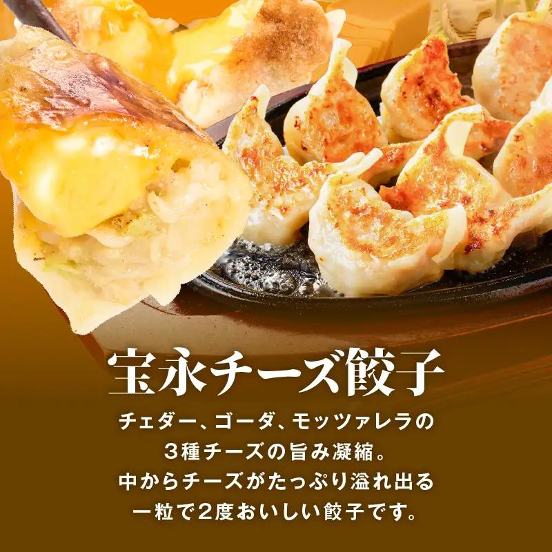 【定期便・全3回 毎月】手包み餃子 ぎょうざの宝永 チーズ餃子30個セット（宝永餃子15個入×1袋・チーズ餃子15個入×1袋） T004-T02-02-02 定期便 定期 惣菜 総菜 餃子