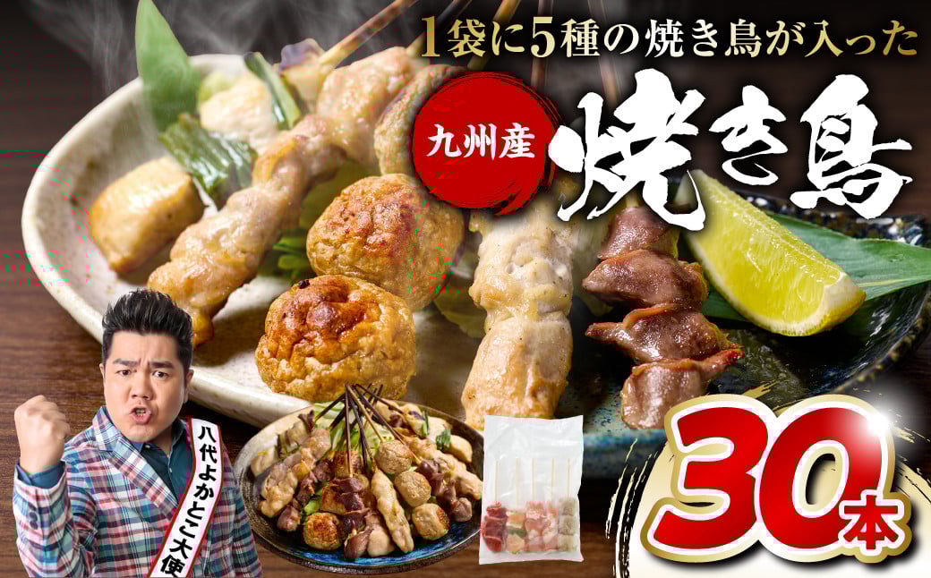 
            やきとり5種 30本セット お試しサイズ！ 焼き鳥 焼鳥 国産 鶏 鶏肉 とり肉 串 九州産 冷凍 小分け ねぎま むね とろ もも 砂肝 つくね BBQ パーティー おつまみ セット バラエティーパック
          
