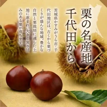 千代田の生栗 3kg 和栗 Lサイズ | 茨城県 かすみがうら市【1787735】