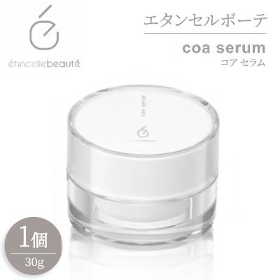 ふるさと納税 半田市 エタンセルボーテ　coa serum コア セラム
