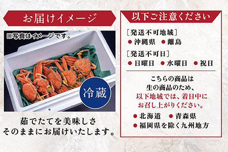 【冷蔵発送】越前がに（メス）「せいこがに」訳あり 150g前後 ×  10杯