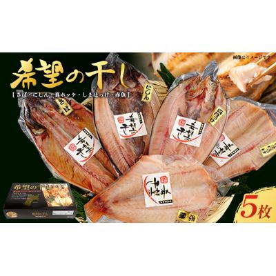 ふるさと納税 岩沼市 厳選 干物セット 希望の干し Aセット[No.5704-0180]