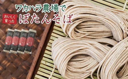 ぼたんそば 細麺 4袋 | ファームインワカハラ [BNAV016]