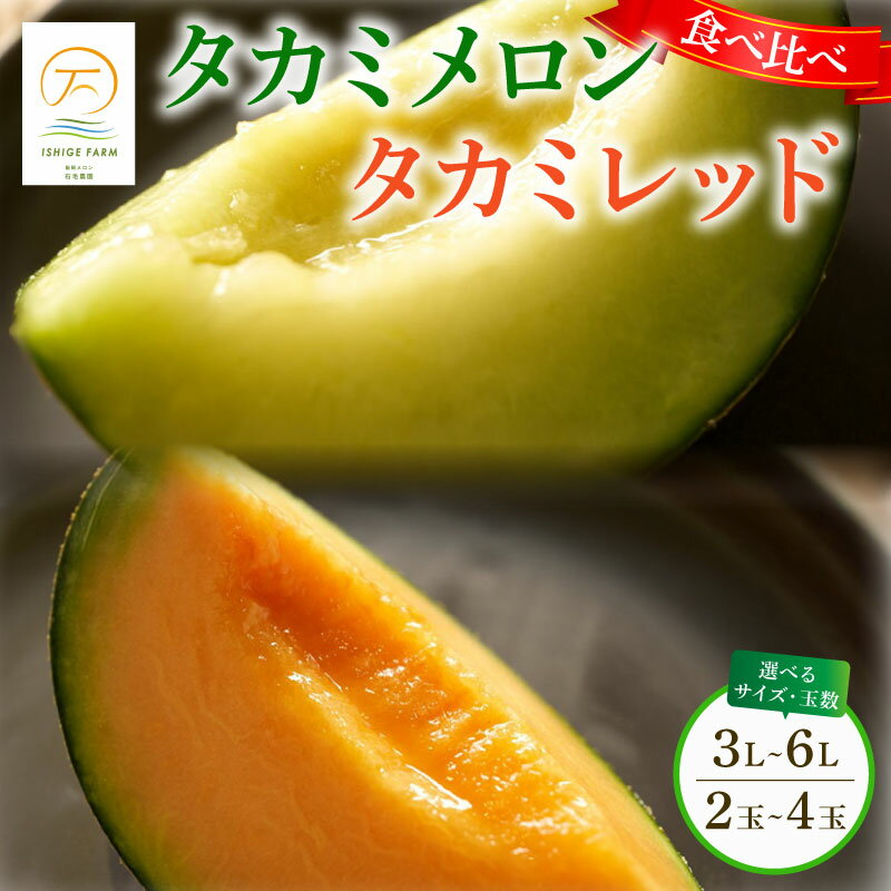 【ふるさと納税】 ＜2025年 先行予約 ＞ タカミメロン 選べる 青肉 赤肉 セット 2玉 ～ 4玉 (3L～6Lサイズ) 6月 7月 発送 産地直送 メロン ギフト ボックス 食べ比べ 高級 ブランド 糖度 タカミレッド 飯岡メロン ブランドメロン 贈り物 贈答 果物 千葉県 旭市 石毛農園