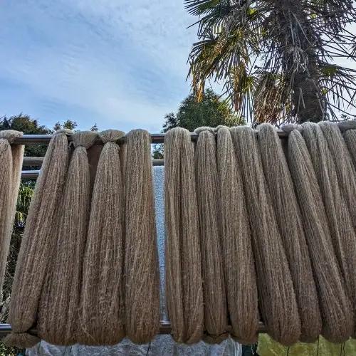 【ご予約】日本産 羊の糸 約100g×1かせ ※※2026年10月以降順次発送予定 / 毛糸 手芸 編み物 羊 ひつじ 糸 和歌山 本宮 【tsg001】