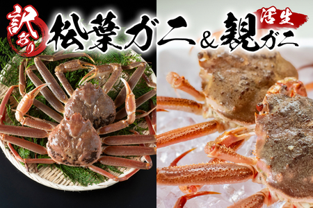 【22013】鳥取県網代産 訳あり松葉がに 親がに 夫婦セット（生）※お届けは2026年11月中旬～