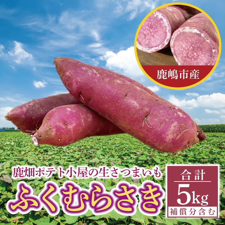 【先行予約】ポテト小屋の生さつまいも ふくむらさき 計 約5kg（４kg+約25％補償分）【鹿嶋市 減農薬 熟成 貯蔵 サツマイモ 紫いも 甘い 5キロ 10000円以内 1万円以内】 (KBR-12)