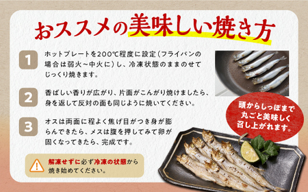 しらぬか産 本ししゃも【20尾（オスメス各10尾）】_A015-1019-60DAYS