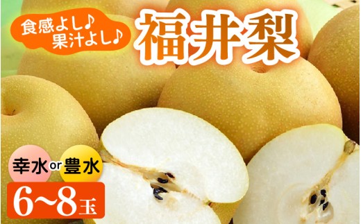 【先行予約】福井梨 6～8玉入《幸水梨 豊水梨どちらかのお届け！》 ／ 期間限定 果物 フルーツ 産地直送 旬 お取り寄せ ※2027年8月下旬以降発送 [aw003-a009]
