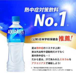 【6か月定期便】アクエリアスゼロ PET 2L×6本(6本×1ケース) スポーツドリンク スポーツ飲料 清涼飲料水 水分補給 カロリーゼロ ペットボトル 箱買い まとめ買い 備蓄 災害用 014041