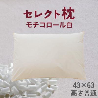 ふるさと納税 我孫子市 セレクト枕 モチコロール白 標準タイプ 高さ普通(43×63cm)
