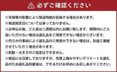 ミニトマト「北海道ルビー」約2kg バラ 野菜 高糖度 北海道 浦臼町 【2025年11月下旬迄発送】