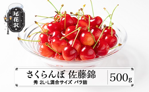
                  先行予約 さくらんぼ 佐藤錦 500g 2L・L混合サイズ 秀品 山形県産 バラ詰 令和9年産 2027年産 sb-snbsx500
                