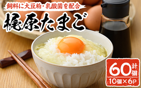 梶原たまご(計60個・10個×6P)卵 玉子 鶏卵 卵かけご飯 玉子焼き【108800200】【カジワラファーム】