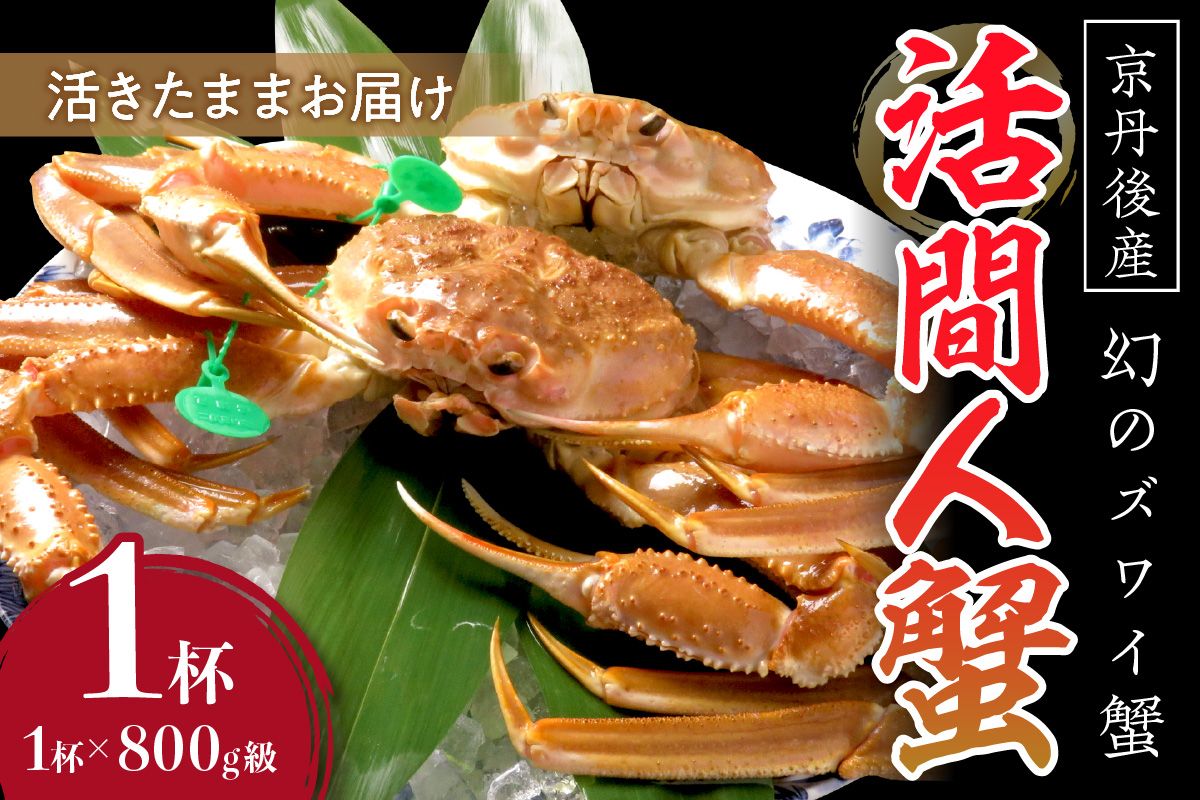 【幻のズワイ蟹】京丹後産 活間人蟹 鮮度抜群、活きたままお届け！！ 800g級×1杯　高級 国産 海産物 甲殻類 かに カニ ずわいがに 間人蟹 茹で ボイル ふるさと納税 海鮮 松葉蟹 松葉がに 松葉ガニ 間人がに 間人ガニ たいざがに YK00081