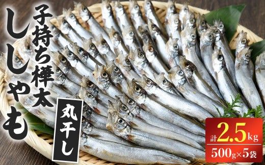 子持ち樺太ししゃも丸干し 計2.5kg(500g×5袋) 干物 ししゃも シシャモ 揚げ物 フライ 惣菜 お惣菜 魚 焼き魚 海鮮 魚介 【opbp007】【ヤマジン】