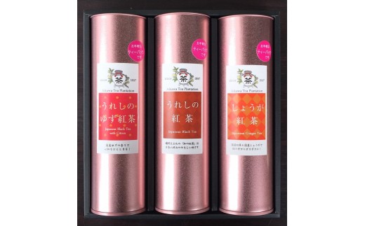 
しょうが紅茶+うれしのゆず紅茶+うれしの紅茶　ギフトセット③
