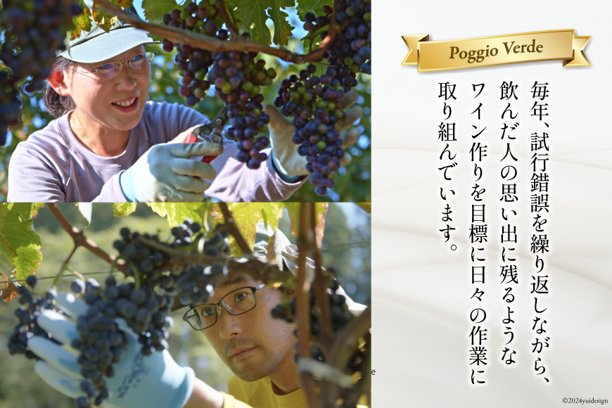 定期便 白 赤 ワイン 飲み比べ セット 各回 750ml × 2本 全3回 計 6本 [Poggio Verde（ポッジョ ヴェルデ） 長野県 池田町 48110709] わいん ワインセット 赤白