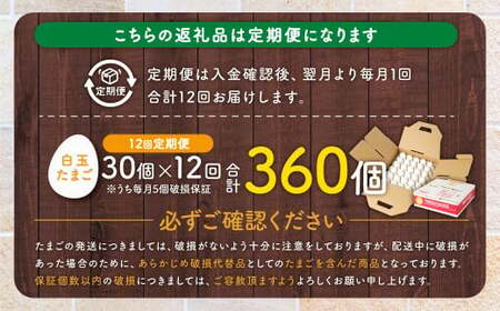 ES-610 【12ヶ月定期便】 電子たまご（白玉） 合計360個（30個×12回） 卵 たまご 白玉 定期