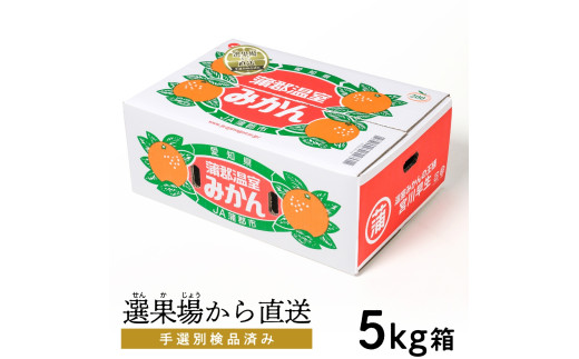 【G0356】【期間限定】蒲郡温室みかん ５kg（秀品）