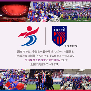 9回 定期便 FC TOKYO GOLDEN ALE 24本 缶ビール  計 216本 | ゴールデンエール ビール FC東京 東京都 定期
