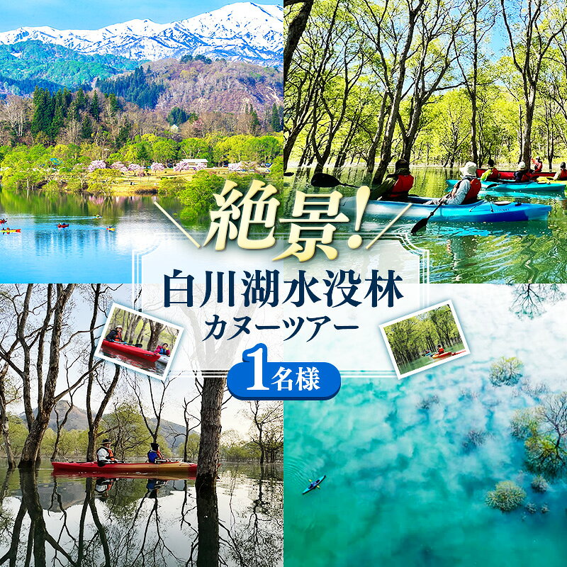 【ふるさと納税】絶景 水没林カヌーツアー（1名様） 癒しの自然満喫アクティビティ【フォトジェニックスポット】 - 体験型 カヌー体験 レジャー カヌー 自然 白川湖 水没林 体験チケット アクティビティ 観光 アウトドア 山形県 飯豊町【価格改定】