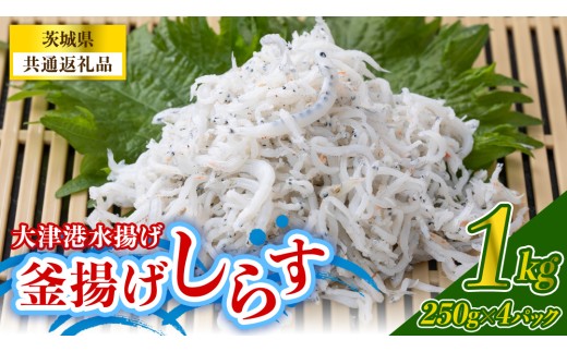 大津港水揚げの釜揚げしらす 1kg(250g×2パック×2箱) (茨城県共通返礼品:北茨城市)冷凍  小分け パック 少量 釜揚げ ごはん ご飯 丼 海鮮 魚 名物 グルメ 茨城県 魚介類 ちりめん シラス しらす じゃこ サラダ ふるさと納税 人気 料理（BC009）