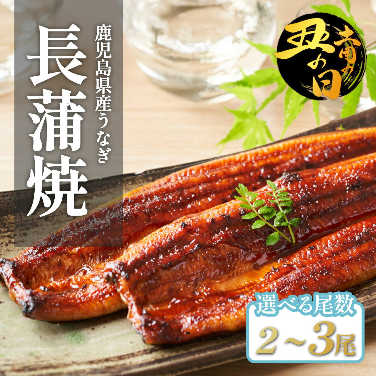 【ふるさと納税】 土用丑の日 国産 うなぎ長蒲焼 2尾 3尾 計320g以上 | 鰻 うなぎ ウナギ 国産 大崎町 蒲焼 蒲焼き 土用の丑の日 うな重 ひつまぶし たれ 鹿児島 国産うなぎ 特産品 鰻蒲焼 支援 国産鰻 うなぎ蒲焼き うなぎ蒲焼