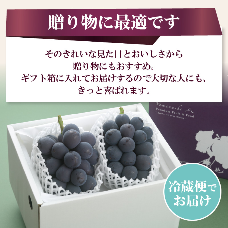 〈2026年度配送分〉巨峰2房（約1.0kg）