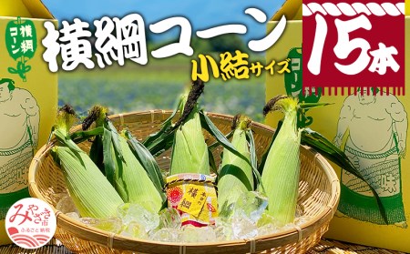 【期間・数量限定】横綱コーン(小結サイズ)