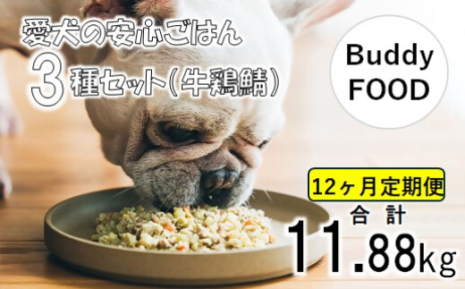 【12ヶ月定期便】完全国産・獣医師オススメの愛犬の安心ごはん【Buddy FOOD バディフード】 3種セットA（牛鶏鯖） JS-313